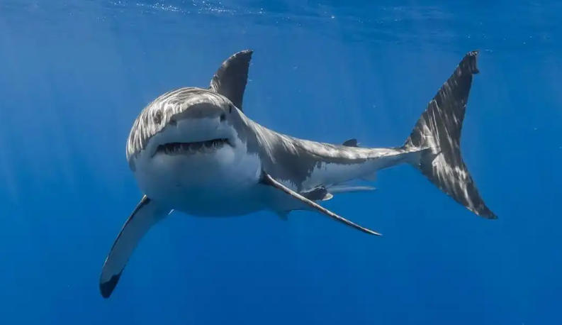 上海投仕壹方投资咨询有限公司轮播图2